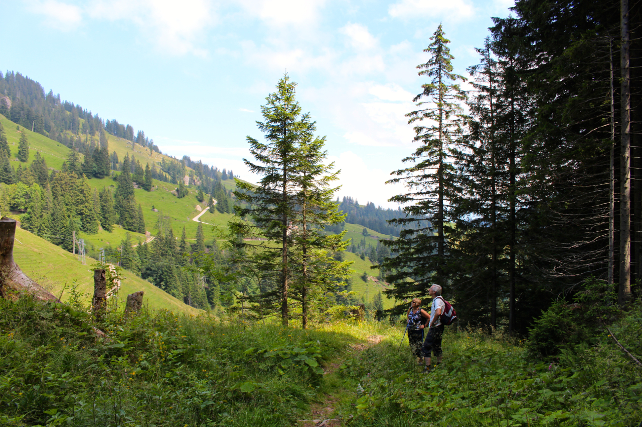 The Swiss couple looking into the distance