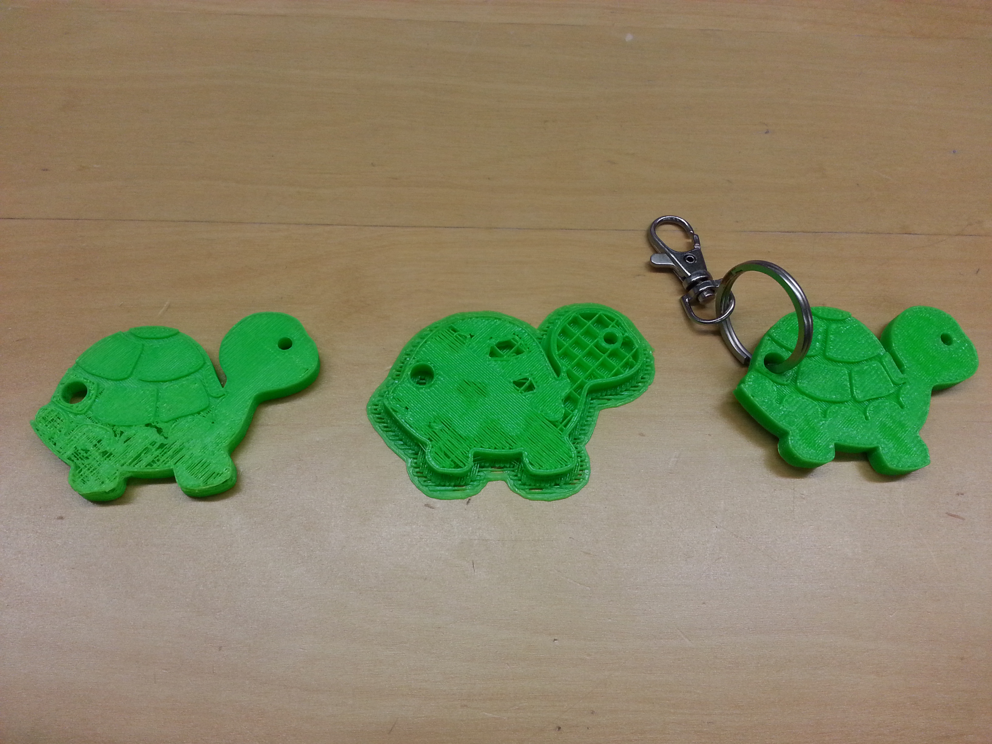 3D printed turtles